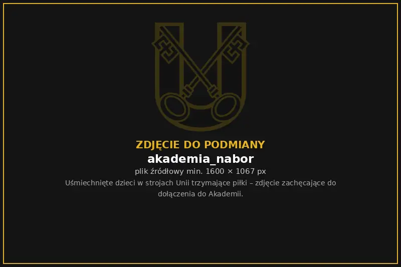 Uśmiechnięte dzieci w strojach Unii z piłkami w rękach