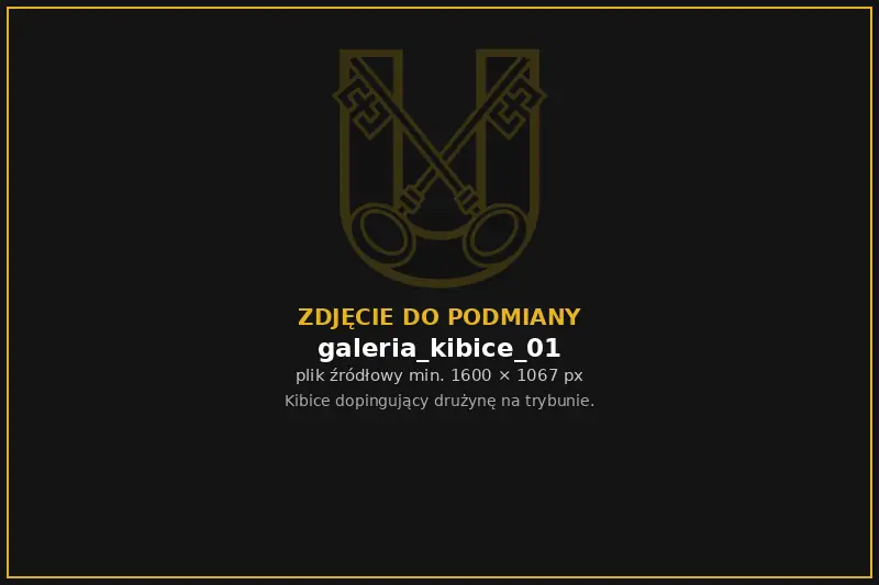 Kibice Unii dopingują drużynę
