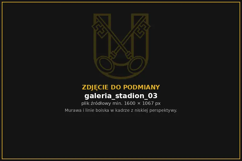 Murawa stadionu Unii z bliska